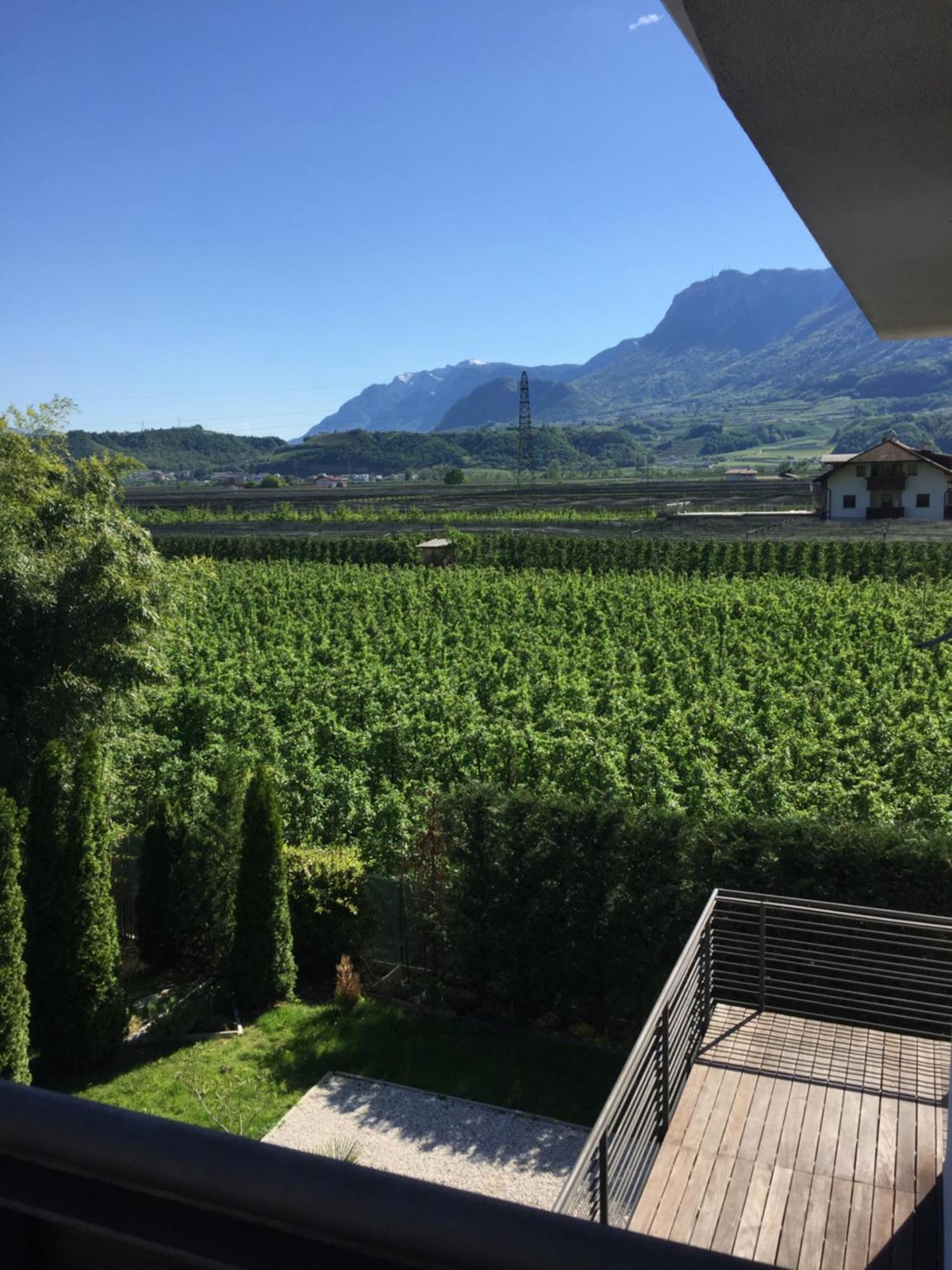 B&B Mele D'Oro Bolzano Eksteriør bilde